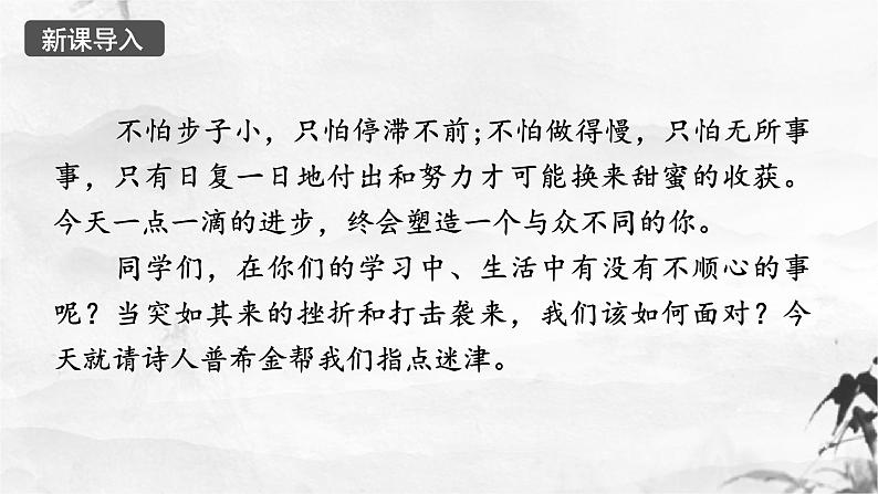 第20课《假如生活欺骗了你》课件01