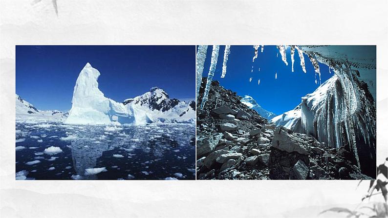 第22课《伟大的悲剧》课件第3页