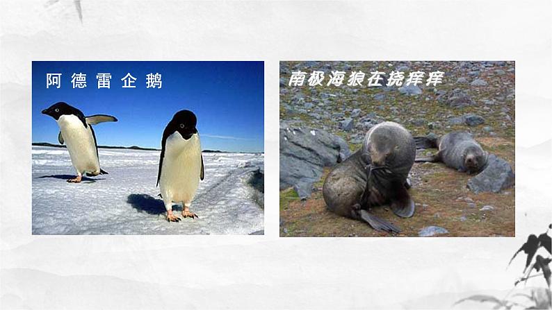 第22课《伟大的悲剧》课件第5页