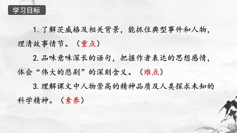 第22课《伟大的悲剧》课件第7页