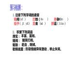 部编版九年级语文上册--17《孤独之旅》课件