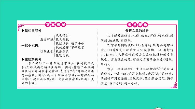 2022部编版语文七年级下册第五单元19 一棵小桃树课件第2页