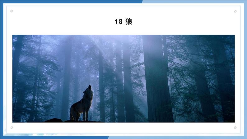 语文7上18  狼全文解析精品课件02