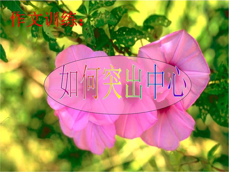 语文7上  如何突出中心解读精品课件第1页