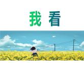 第6课《我看》课件   部编版语文九年级上册