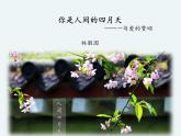 第5课《你是人间的四月天》课件   部编版语文九年级上册