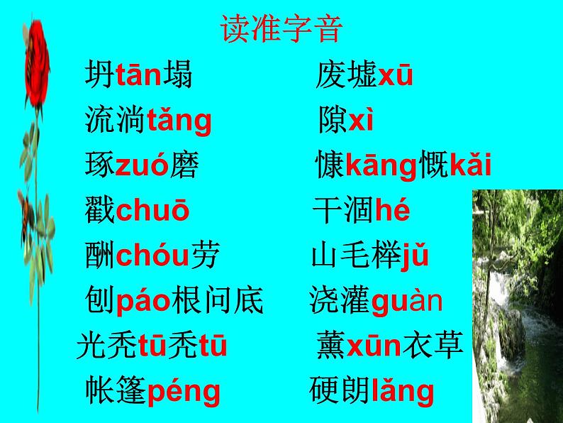 部编版七年级上册14植树的牧羊人课件08