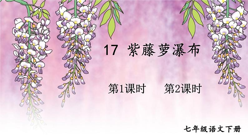 初中语文7下17 紫藤萝瀑布教学课件01