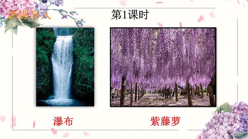 初中语文7下17 紫藤萝瀑布教学课件02