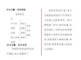 语文8上 16 昆明的雨 习题试题课件