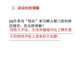 语文8上 19  蝉  练习试题课件