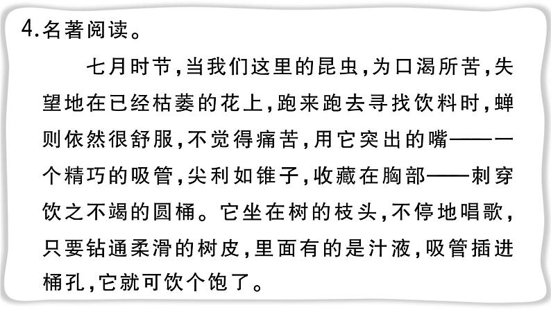 语文8上 21 蝉教学课件08