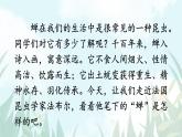 语文8上 21蝉教学课件
