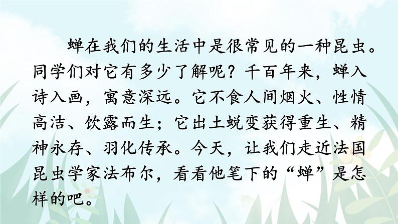 语文8上 21蝉教学课件第3页