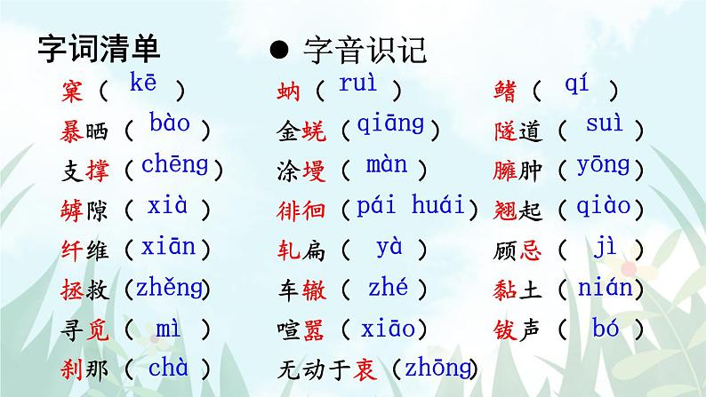 语文8上 21蝉教学课件第4页