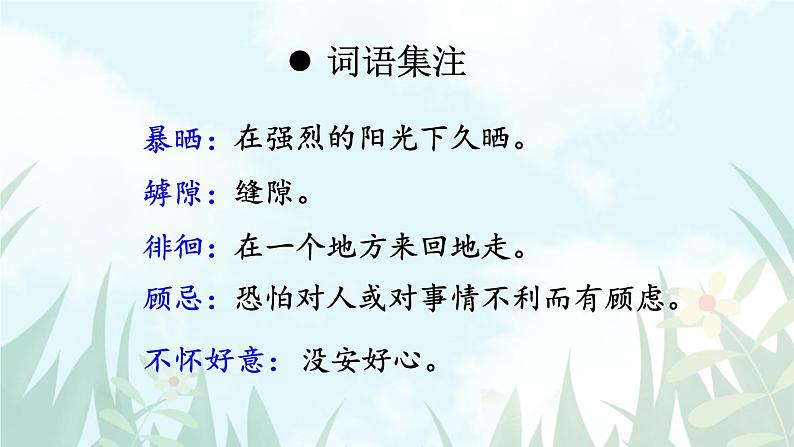 语文8上 21蝉教学课件第6页