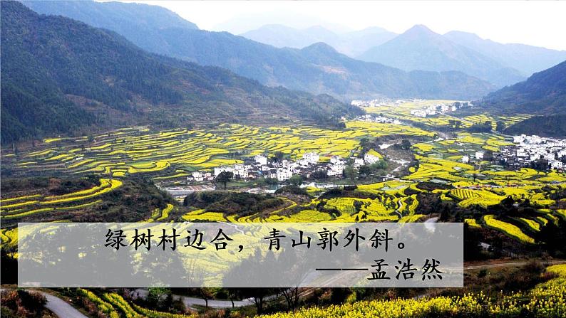 语文8上 11 短文二篇A教学课件05