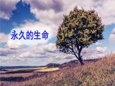 语文8上 16 散文二篇A教学课件