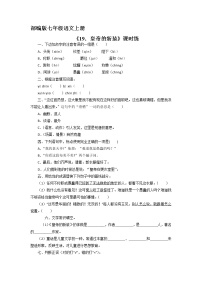 初中人教部编版19 皇帝的新装习题