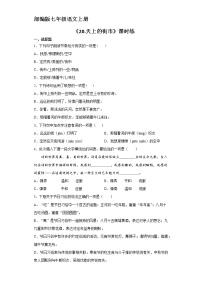 初中语文人教部编版七年级上册第六单元20 天上的街市课后作业题