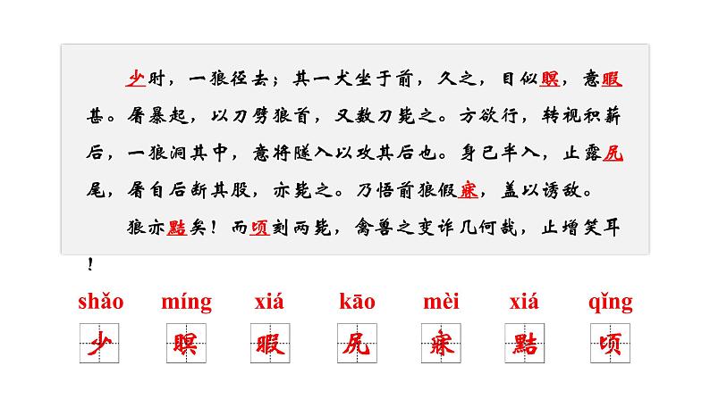 18《狼》课件第5页