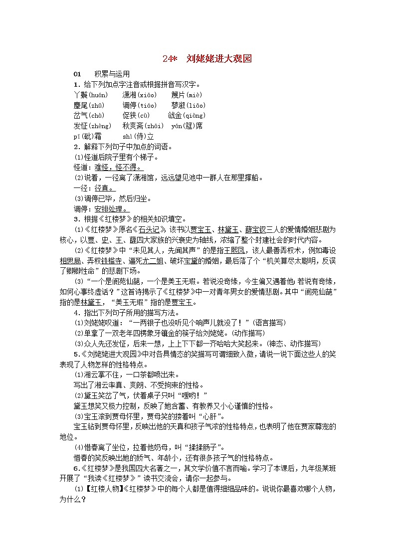 语文中考复习24刘姥姥进大观园习题新人教版_270第1页