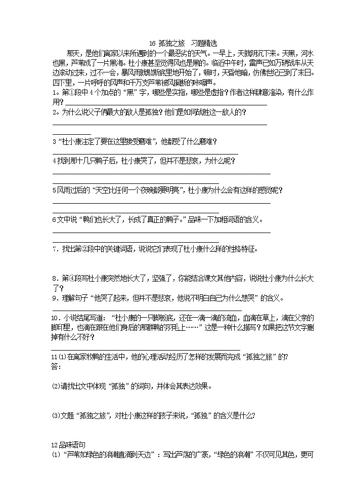 初中语文九上16 孤独之旅 习题精选练习含答案01