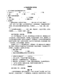 人教部编版九年级上册20 谈创造性思维当堂检测题