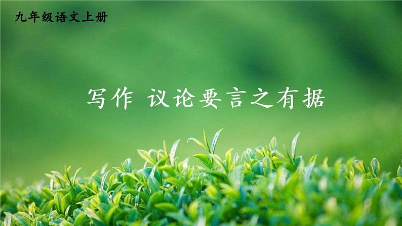 初中语文九上写作 议论要言之有据课件04