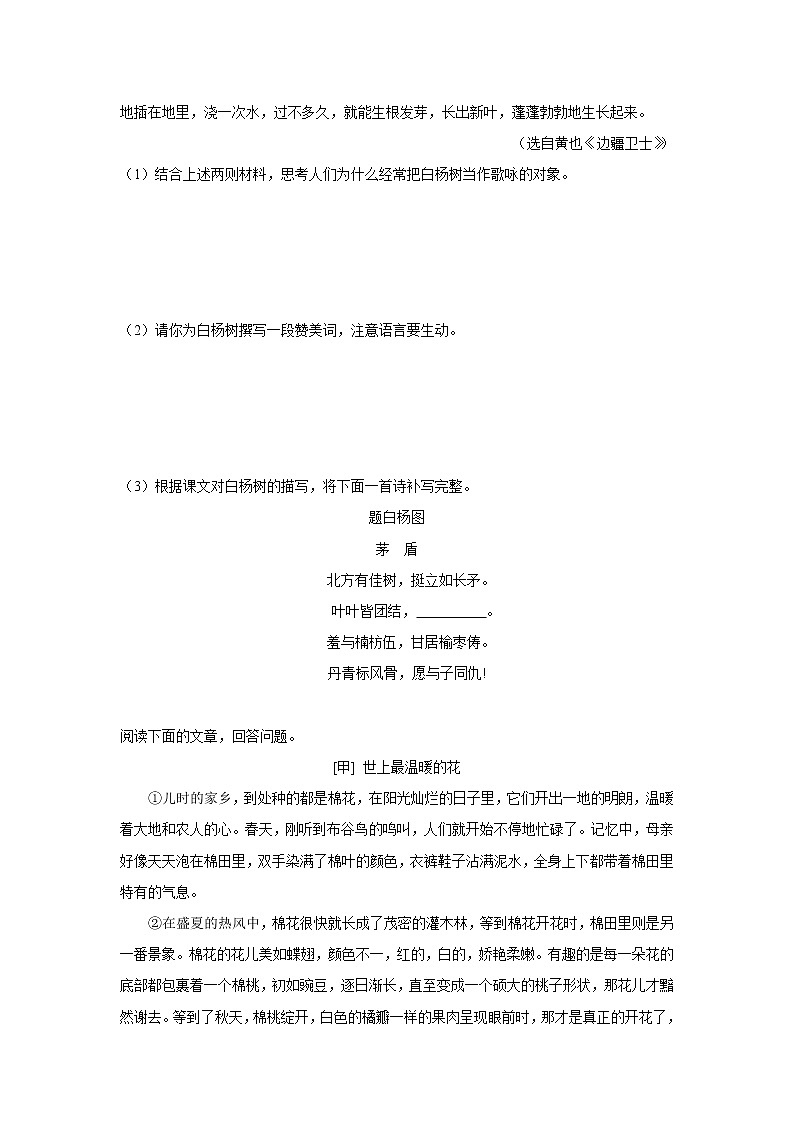 8年级上册语文部编版课时练《第15课 白杨礼赞》03（含答案）第2页