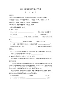 语文中考复习2019年安徽省试题（含答案）新