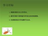 部编本语文《次北固山下》PPT课件