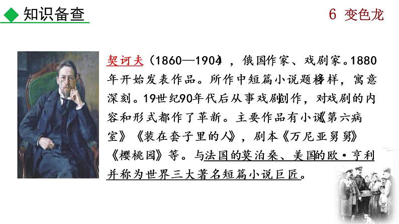 初中语文9下6  变色龙推荐课件第5页