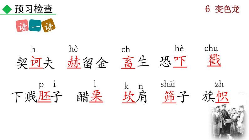 初中语文9下6  变色龙推荐课件第7页