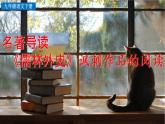 初中语文9下名著导读  《儒林外史》讽刺作品的阅读推荐课件