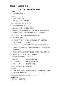 初中语文人教部编版九年级上册13* 湖心亭看雪同步测试题