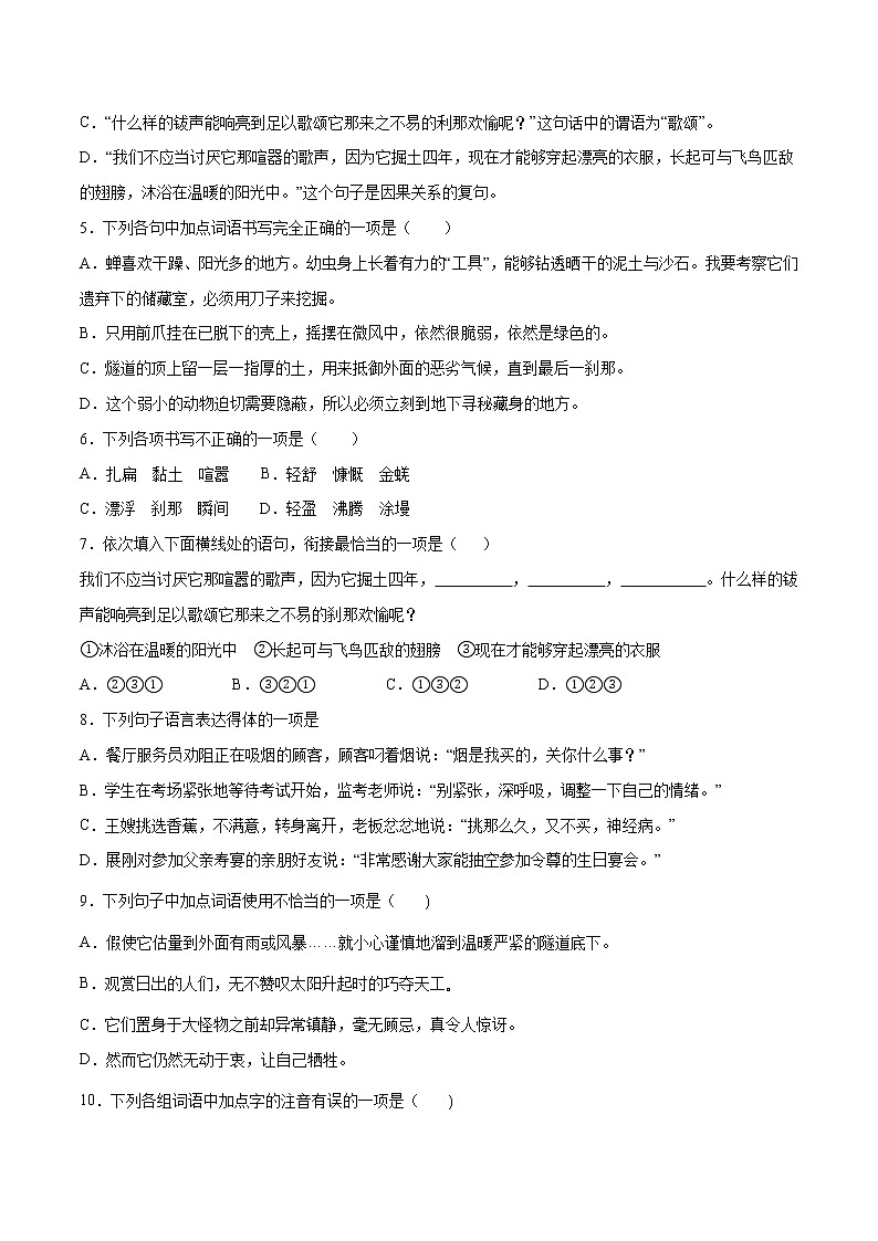 第21课 蝉-初中语文八年级上册 常考知识点+练习（部编版）02