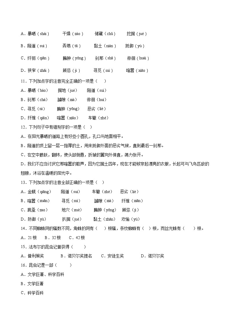 第21课 蝉-初中语文八年级上册 常考知识点+练习（部编版）03