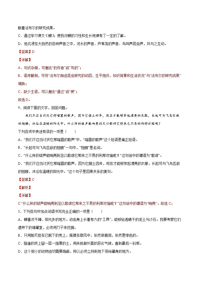 第21课 蝉-初中语文八年级上册 常考知识点+练习（部编版）02