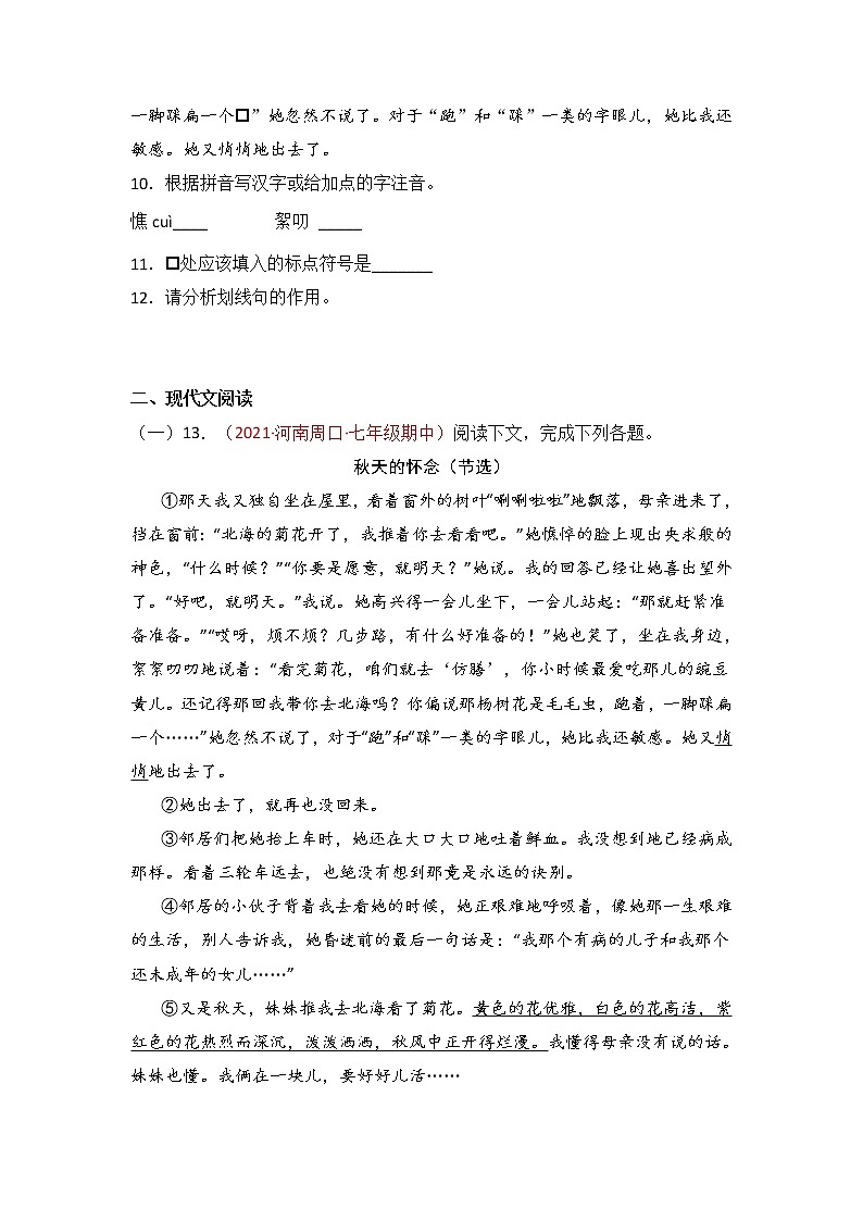 第5课《秋天的怀念》同步训练-2022-2023学年七年级语文上册精讲精练同步课堂（部编版）03