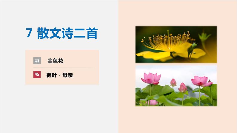 部编版七年级语文上册课件--第07课 散文诗二首（《金色花》《荷叶.母亲》01