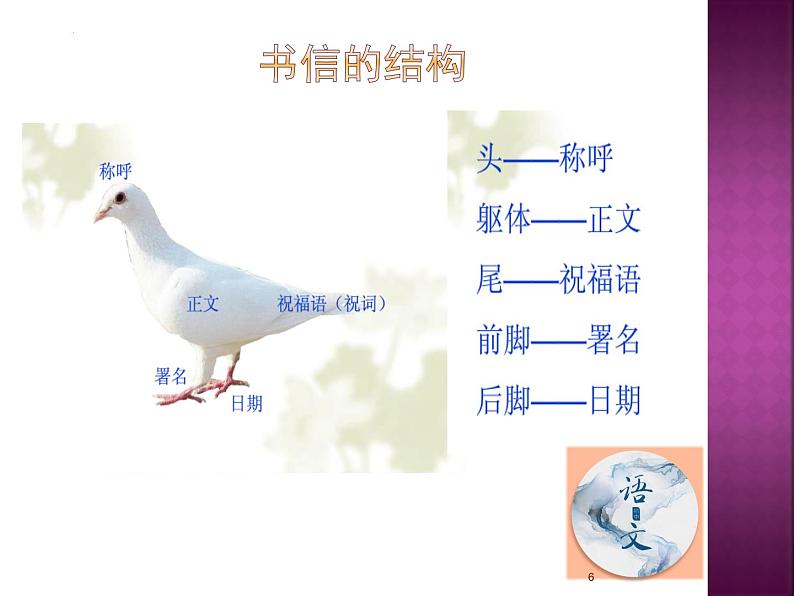 七年级语文上册作文指导训练--学习书信体作文第6页