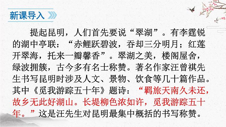 17 昆明的雨 课时课件 初中语文人教部编版（五四制）八年级上册02