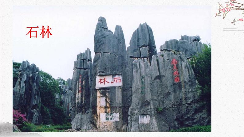 17 昆明的雨 课时课件 初中语文人教部编版（五四制）八年级上册04