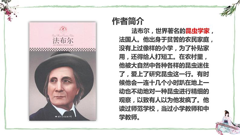 20 蝉 课时课件 初中语文人教部编版（五四制）八年级上册第5页