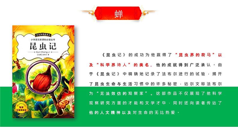20 蝉 课时课件 初中语文人教部编版（五四制）八年级上册第8页