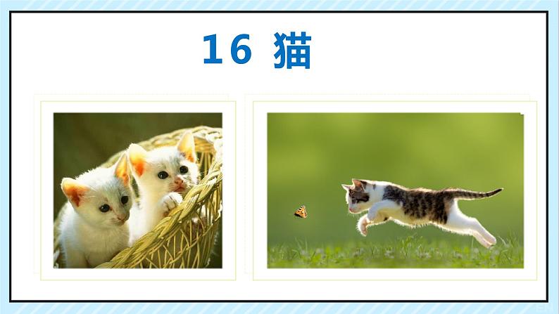 16 猫 课时课件 初中语文人教部编版（五四制）七年级上册第1页