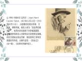 19 蝉 课时课件 初中语文人教部编版八年级上册