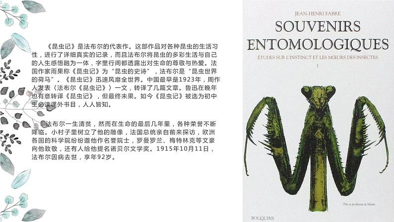 19 蝉 课时课件 初中语文人教部编版八年级上册05