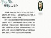 8 美丽的颜色 课时课件 初中语文人教部编版八年级上册